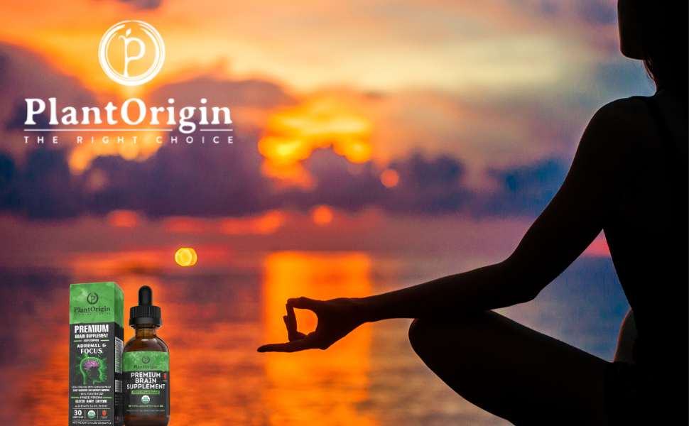 Mindfulness is the practice of paying full attention to the present moment without judgment. It means being aware of where you are, what you're doing, and how you're feeling—noticing your thoughts and bodily sensations without reacting to them. This practice stems from ancient meditation traditions but has been widely adopted in modern psychology and neuroscience.

Amazon.com, plantorigin.com, Mindfulness, Productivity, Success, Stress Relief, Brain Health, Cognitive Function, Mental Resilience, Adaptogens, Natural Supplements, PlantOrigin Brain Supplement, Ashwagandha, Ginkgo Biloba, Vegan Nootropics, Focus Booster, Mental Clarity, Mental Health Awareness, Brain Health, Neuroscience Work place Wellness , Nootropics, Memory Enhancement, Cognitive Support, Focus & Concentration, Mental Clarity,  sleep, Stress management, anxiety relief, Cortisol reduction, Sharp focus, adaptogen, nervous system recovery, Natural Brain Boosters, Emotional Intelligence , Organic Nootropics, Vegan Brain Supplement, Neurohack, Organic nootropics for focus, Plant based brain health supplements, Vegan supplements for mental clarity, Natural cognitive enhancers, Ashwagandha for brain health, Ginkgo biloba memory support, Ginseng cognitive supplement, Brain supplement for students, Brain health supplements for seniors, USA certified organic brain supplements, Best supplements for cognitive performance, Vegan memory enhancement supplements, Supplements to improve mental focus, Natural remedies for brain fog, Brain supplements with ashwagandha and ginkgo biloba, memory, Amazon.com. plantorigin.com